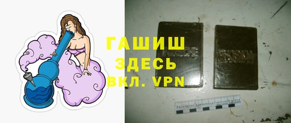шишки Надым