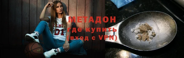 шишки Надым
