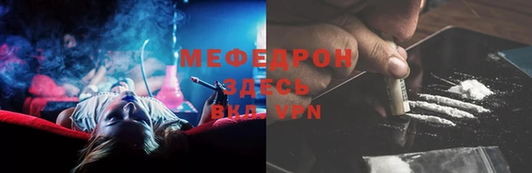 шишки Надым