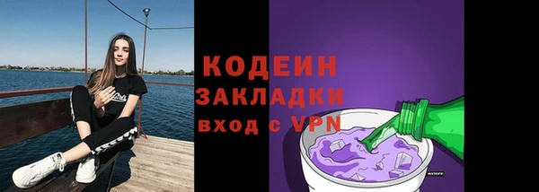шишки Надым
