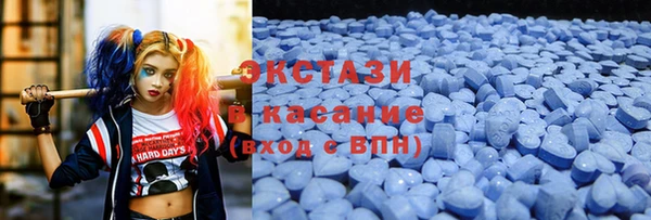 шишки Надым
